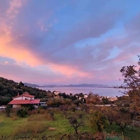 Apartamento Ολόκληρος Όροφος Αγροτική Οικία Néos Pírgos Exterior foto