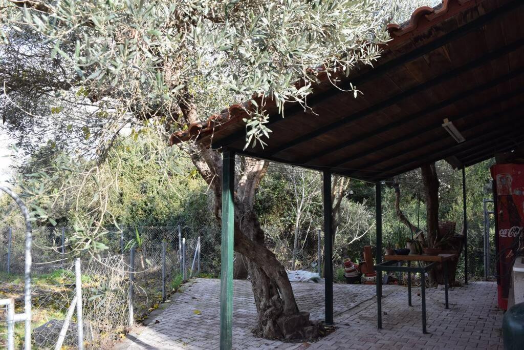 Apartamento Ολόκληρος Όροφος Αγροτική Οικία Néos Pírgos Exterior foto